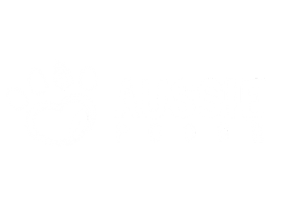 Aussie Pooch